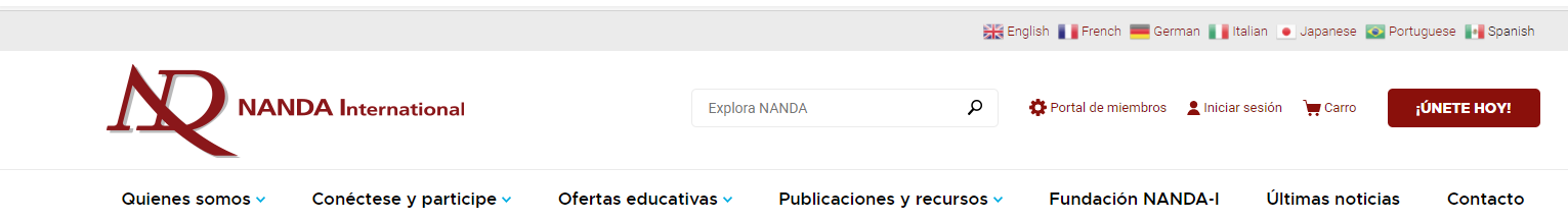 NANDA website