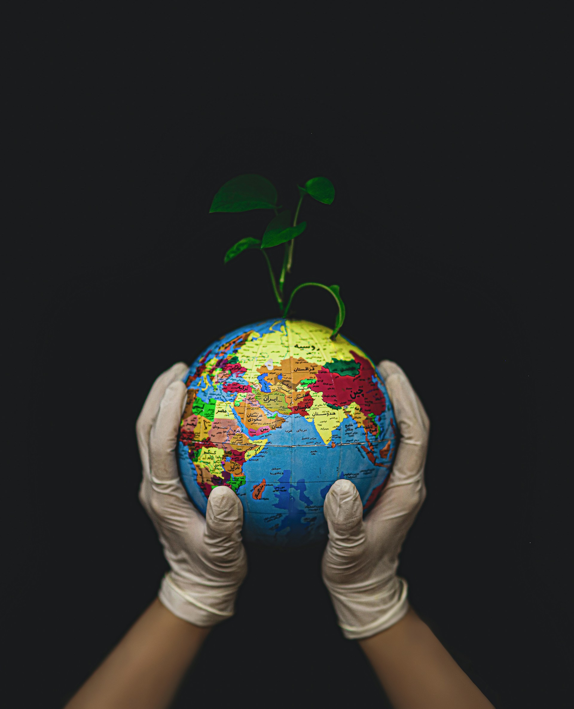 gloved hands holding a globe with a plant growing out of it